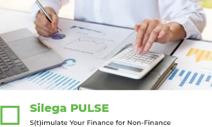 Silega PULSE
